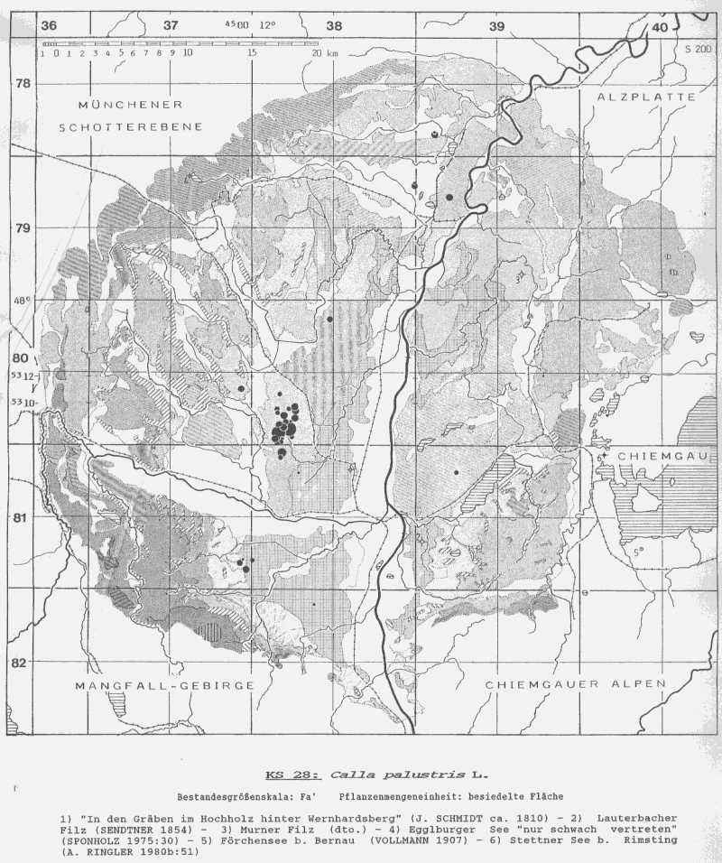Calla palustris - Bestandeskarte Voralpines Inn-Hügelland