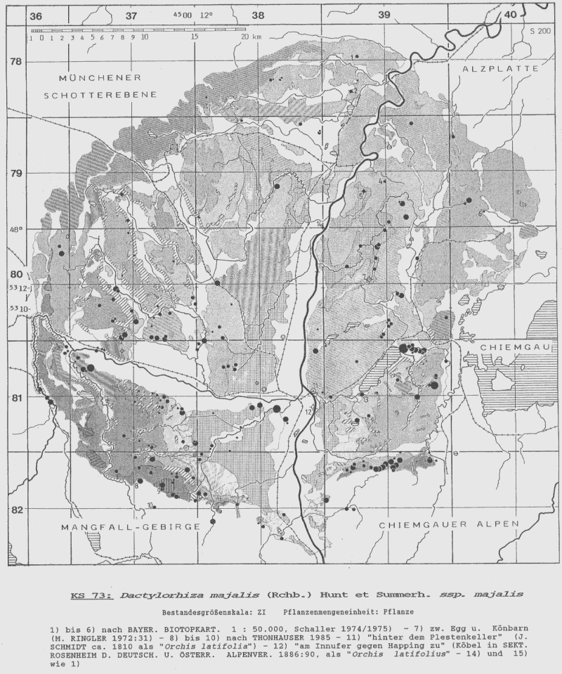 Dactyloriza majalis - Bestandeskarte Voralpines Inn-Hügelland