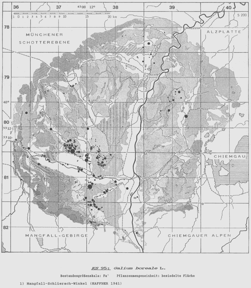 Galium boreale - Bestandeskarte Voralpines Inn-Hügelland