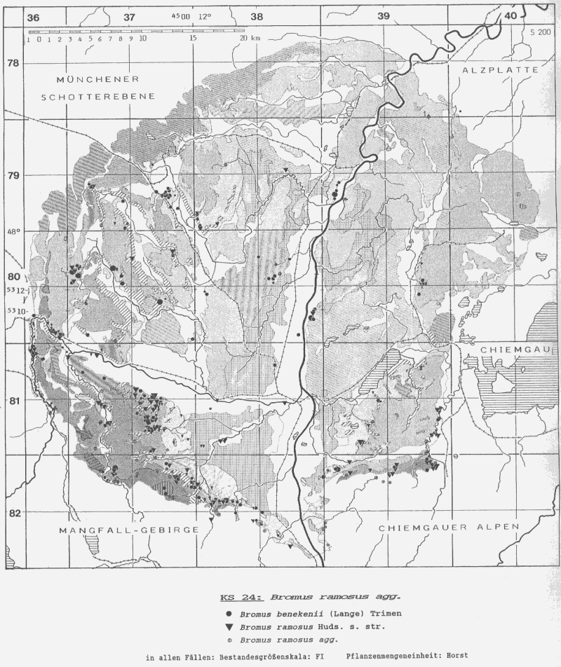 Bromus ramosus, B. benekenii - Bestandeskarte Voralpines Inn-Hügelland