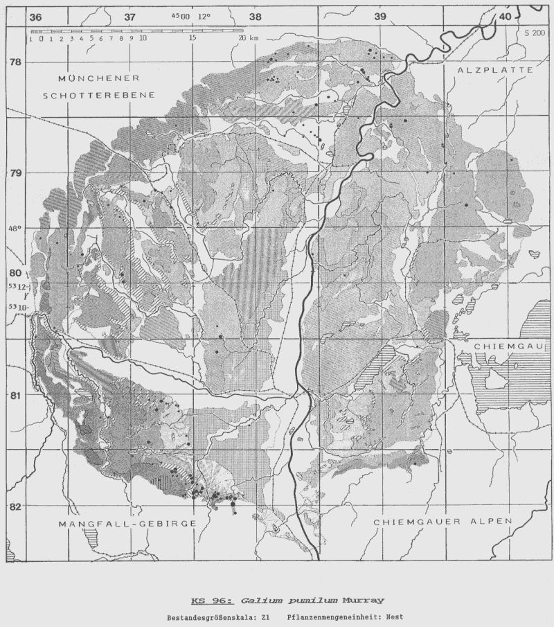 Galium pumilum - Bestandeskarte Voralpines Inn-Hügelland